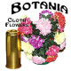 BOTANIA(CLOTH FLOWERS.)