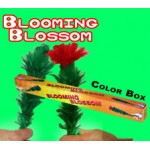 BLOOMING BLOSSOM TEMP OUT STOCK