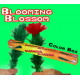 BLOOMING BLOSSOM TEMP OUT STOCK