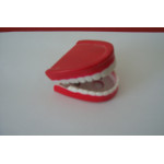 Wind up Teeth