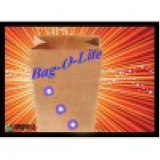 Bag-O-Lights / Blue L.E.Ds. Temp out stock